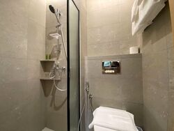 Mount Elizabeth Link (D9), Condominium #585130681